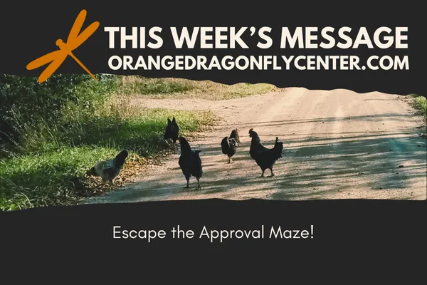 Escape the Approval Maze
