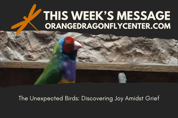The Unexpected Birds: Discovering Joy Amidst Grief