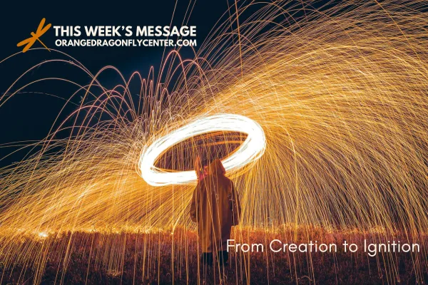 Become a Catalyst! Shift from product 'What' to energy 'Why' to ignite your Movement. Use the 3 Pillars (Vision, Inclusion, Container) to attract your tribe and manifest a fulfilled future.