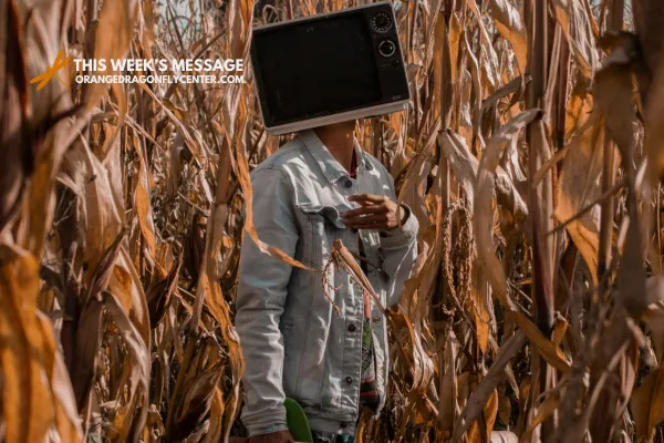 Learn how to protect your peace during a heavy news cycle. Explore the biology of stress and how to stay high-vibe using the "Look for the Helpers" strategy.