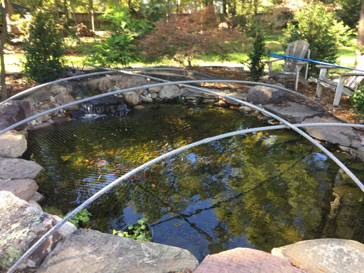 Pond with Netting for leaves