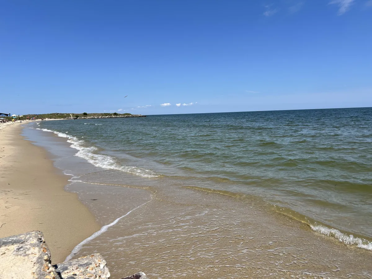 Transformation and business decision making