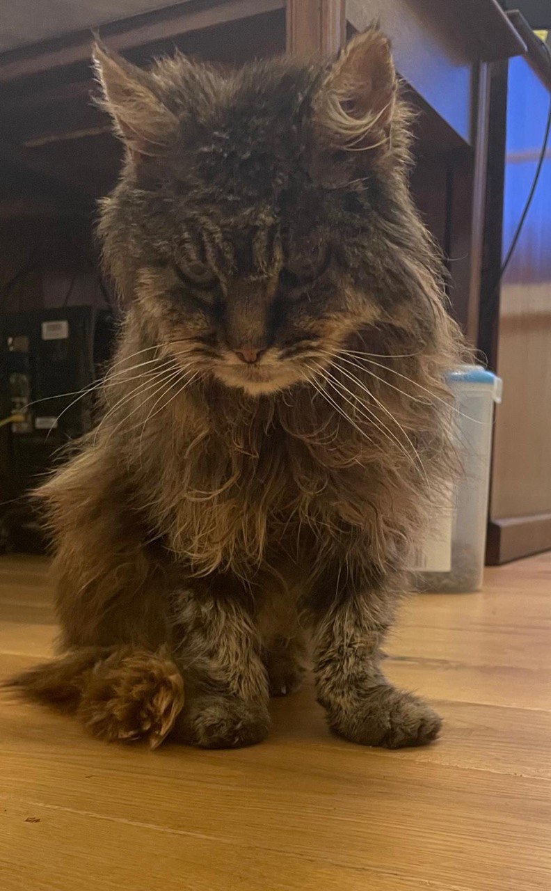 A Gentle Start to the Week