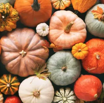 Member Update - October 2025