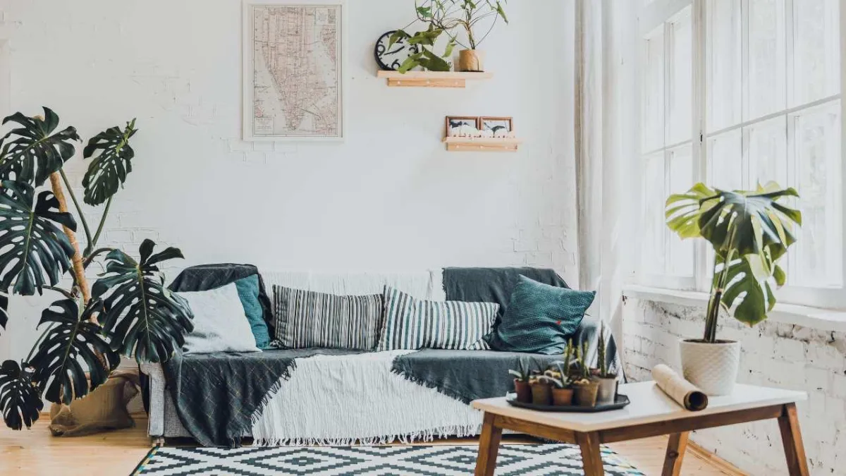 Affordable Ways to Make Your Living Room Feel Like Home