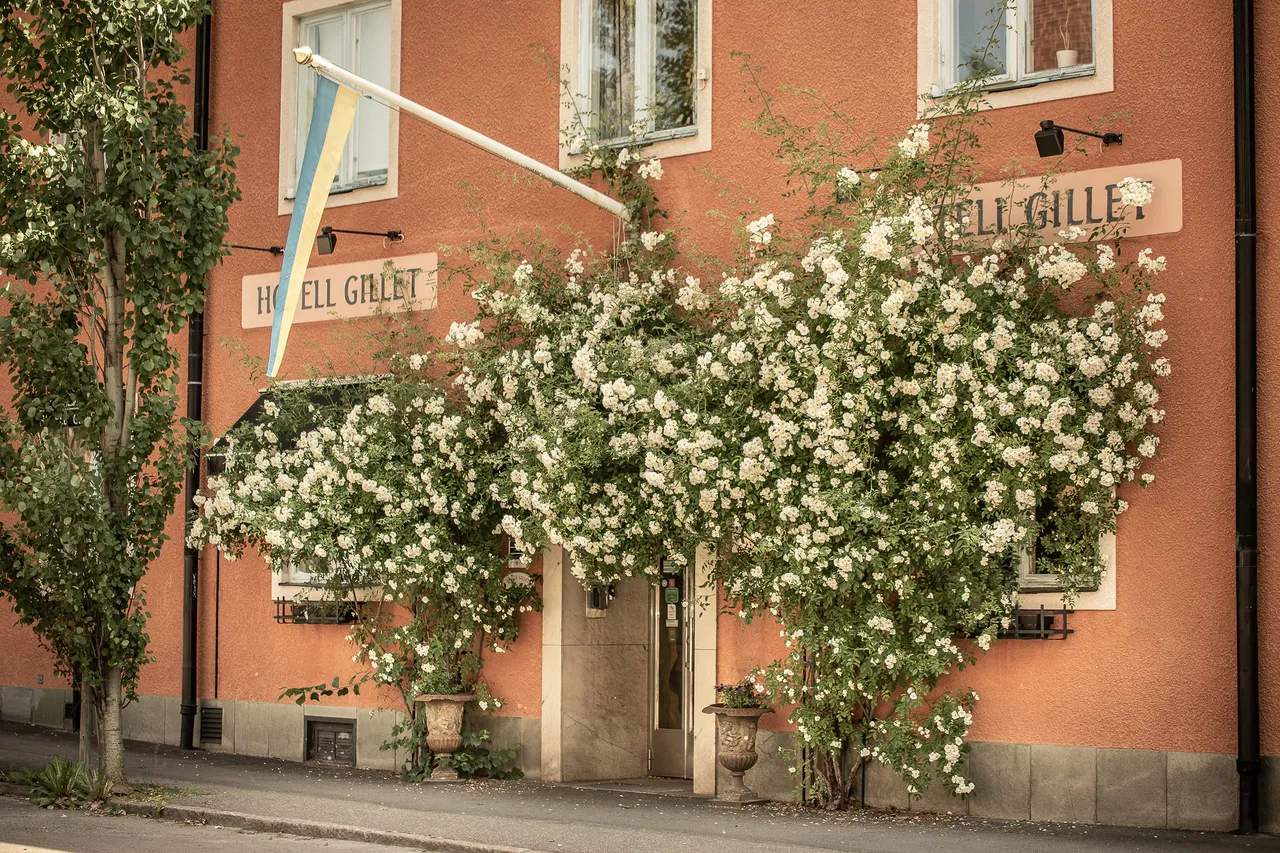 Hotellfasad med blommande klätterväxter