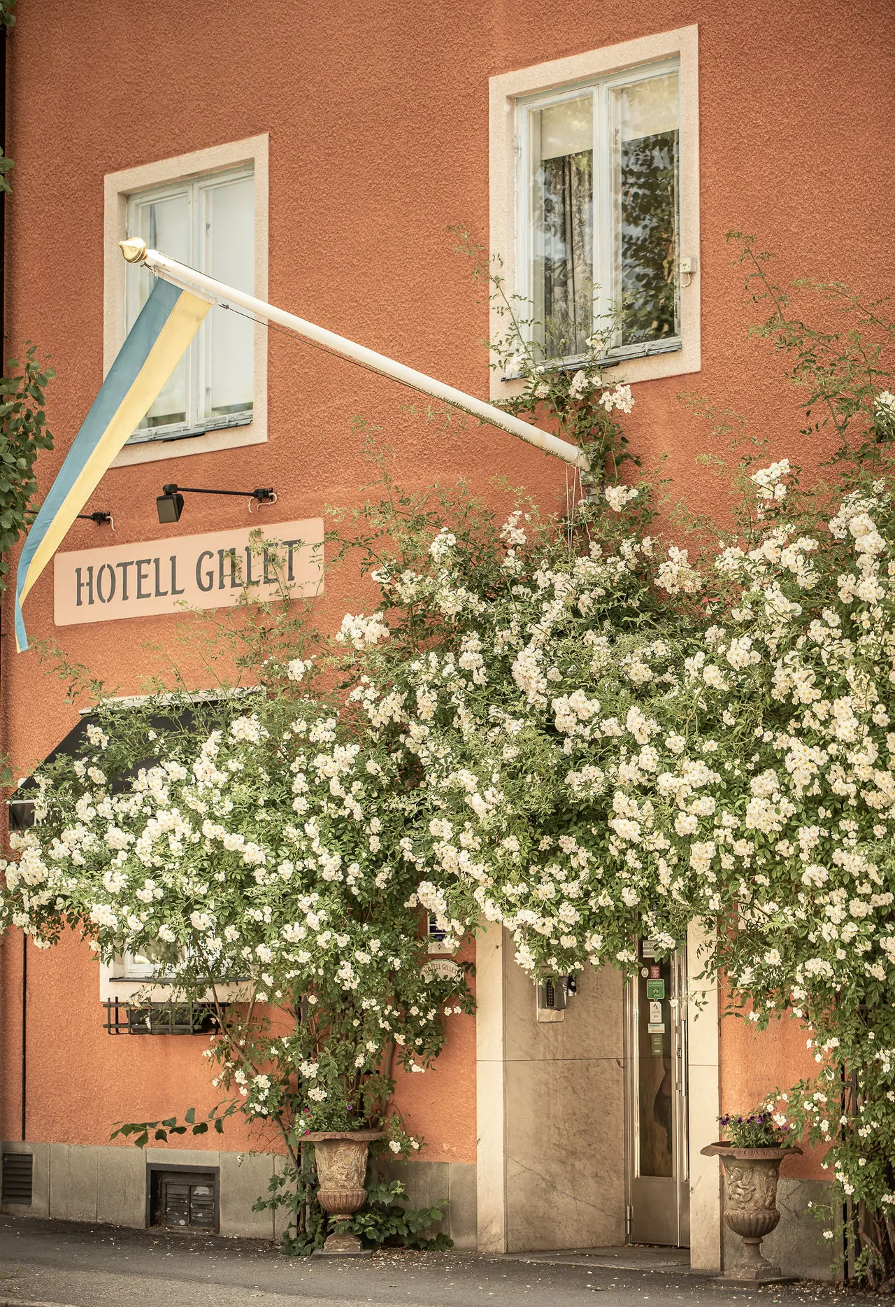 Rosa husfasad med blommande klätterrosor och en skylt vid entrén