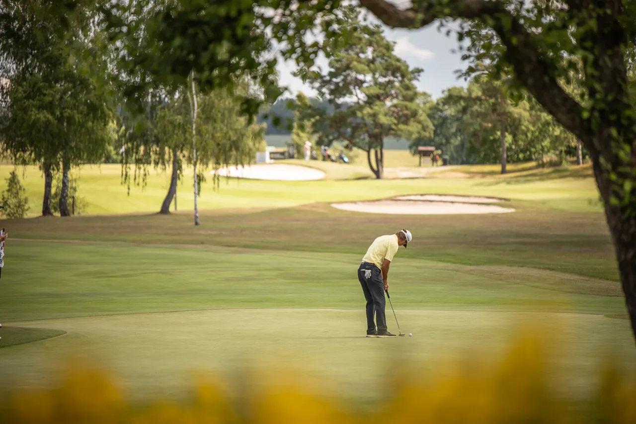 En golfare puttar på en green med bunkrar och träd i bakgrunden