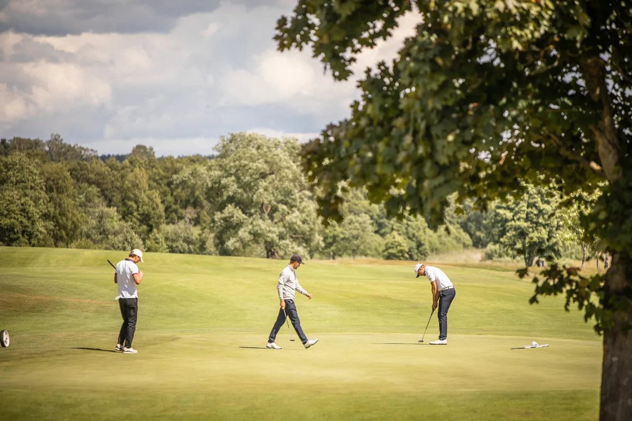 Tre golfspelare på en solig green kantad av höga lövträd