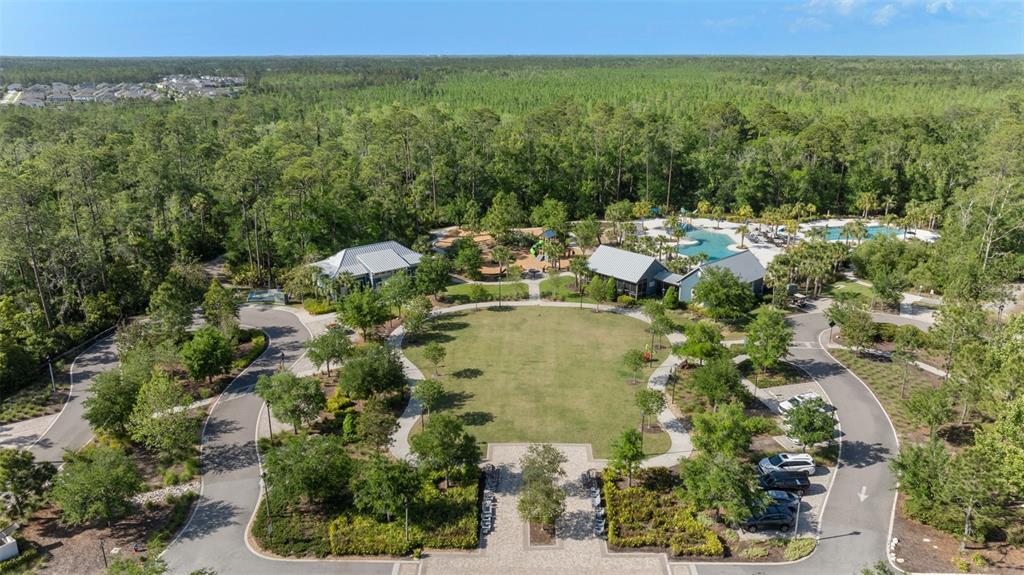 Aerial view of the Bexley clubhouse and pool surrounded by trees in Land O’ Lakes, Florida
