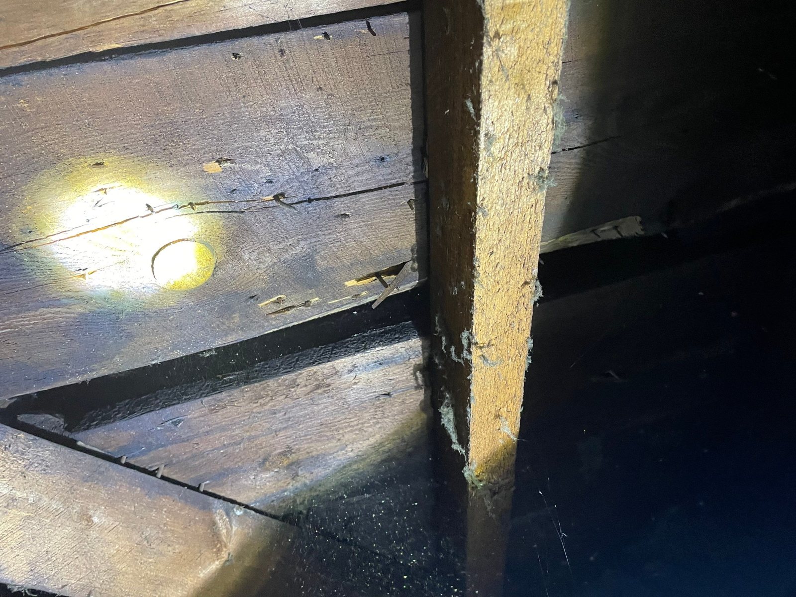 Flashlight on the underside of attic board sheathing with roofing nail tips poking through next to a rafter
