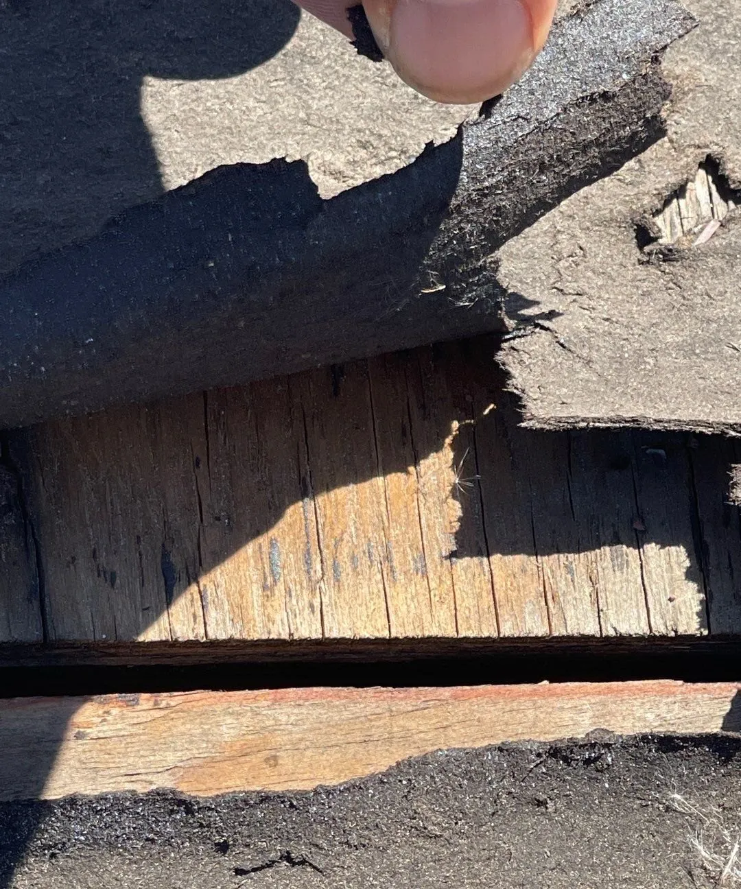 Old shingles and felt peeled back to show weathered wood board roof decking with a gap between boards