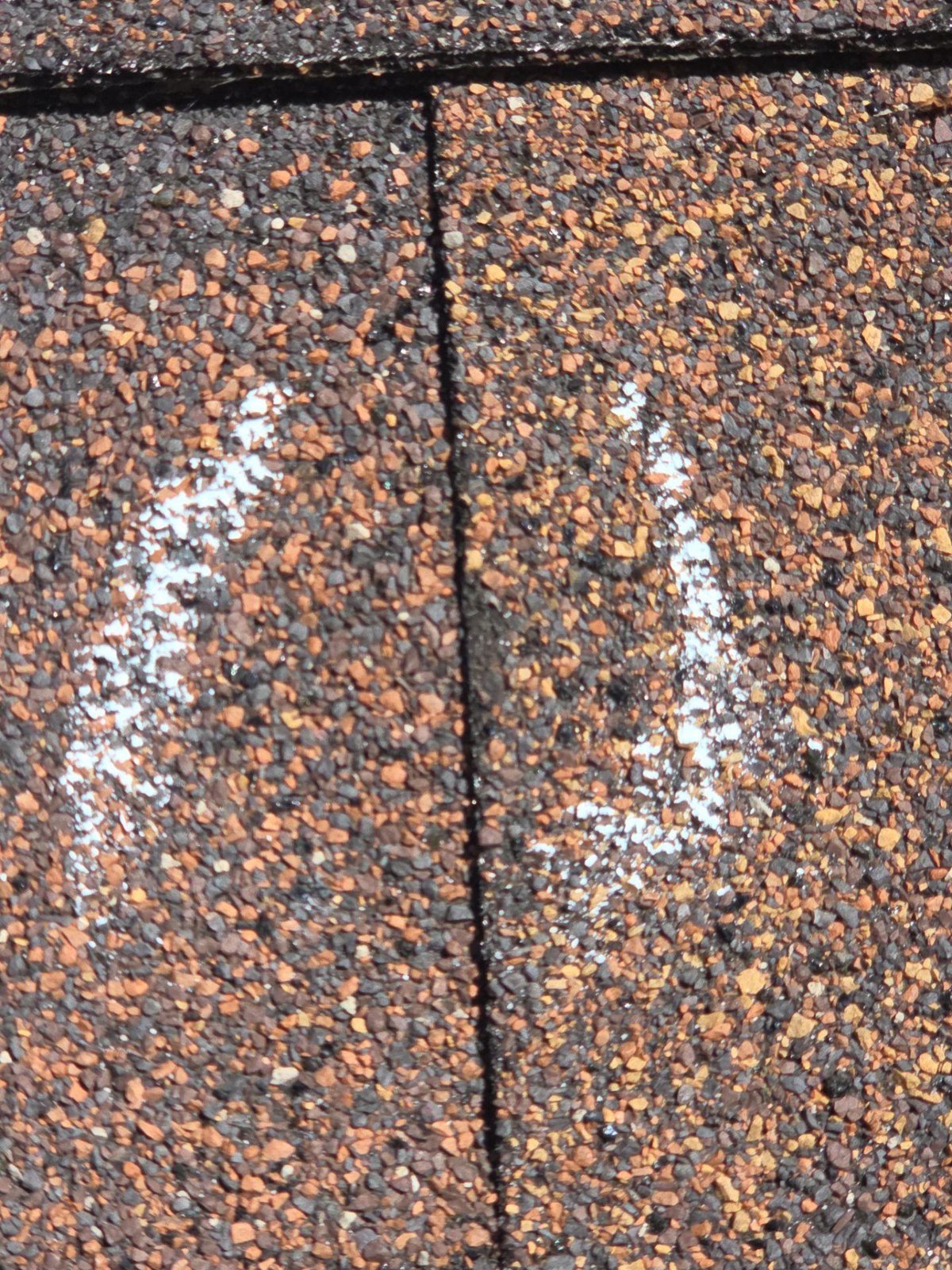 Close-up of an asphalt shingle with two hail hits circled in white chalk where granules are disturbed