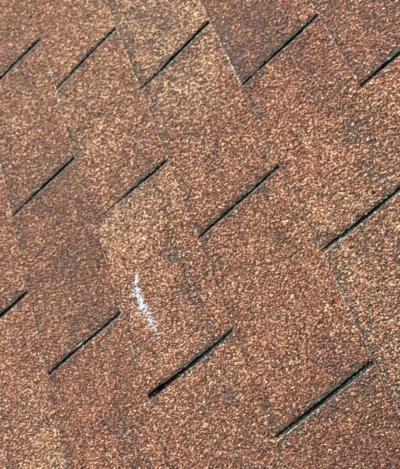 Brown asphalt shingles with a light horizontal crease line across one tab where wind lifted it
