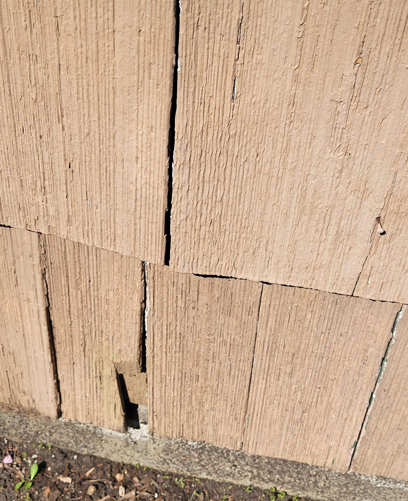 Painted siding shakes near the foundation with cracks, gaps and a broken-out piece
