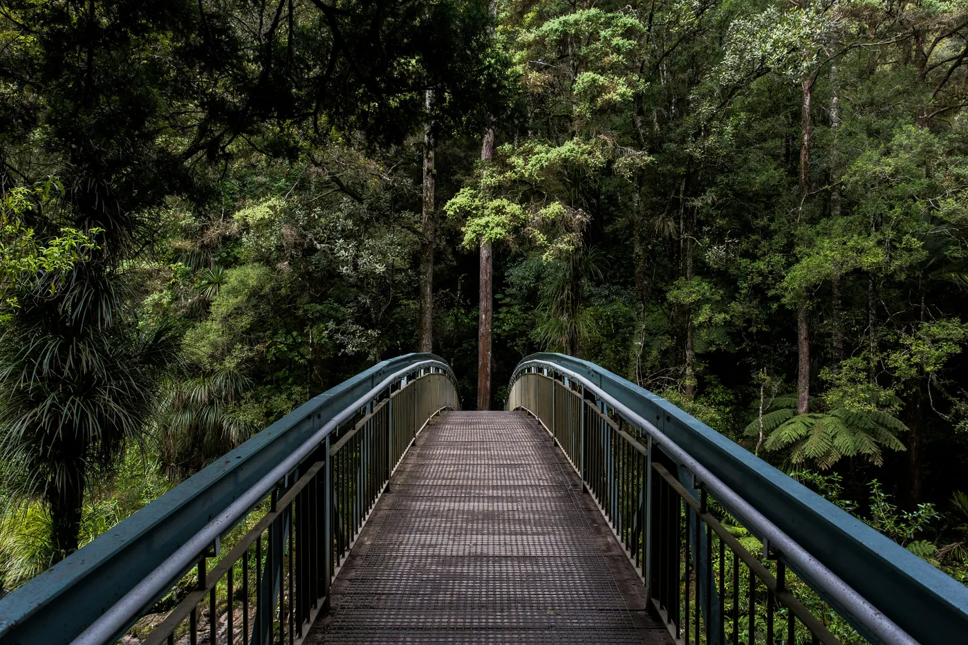 Nature apaisante