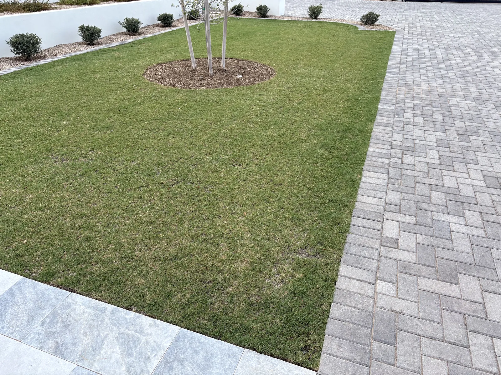 Landscape Maintenance