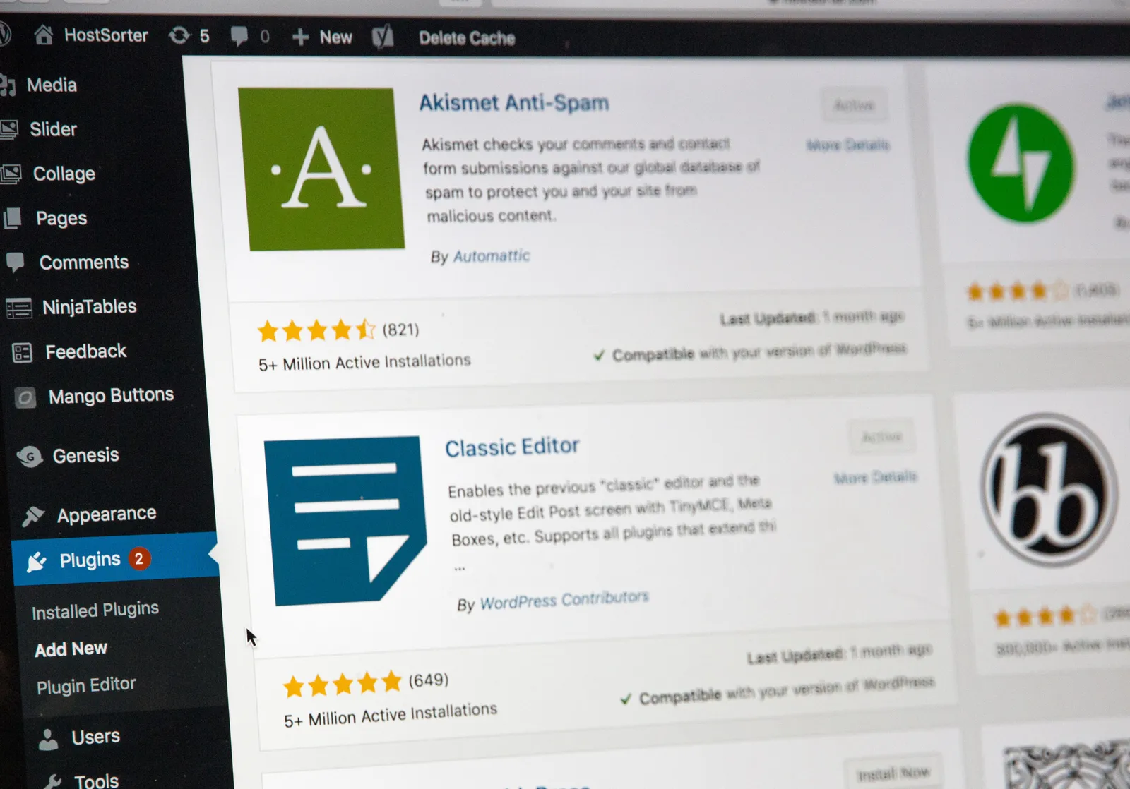 WordPress plugins screen, a common source of slow websites