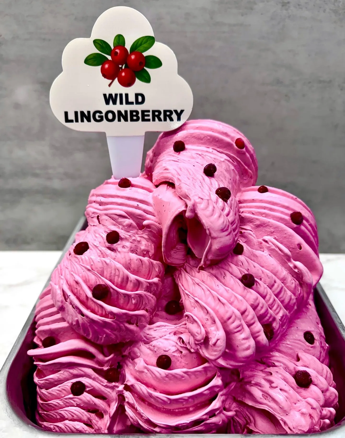 Wild Lingonberry