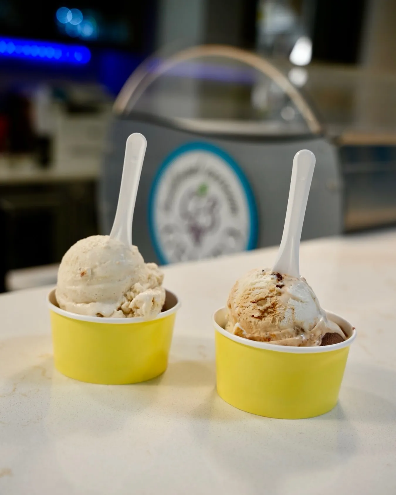 Two cups of handmade gelato