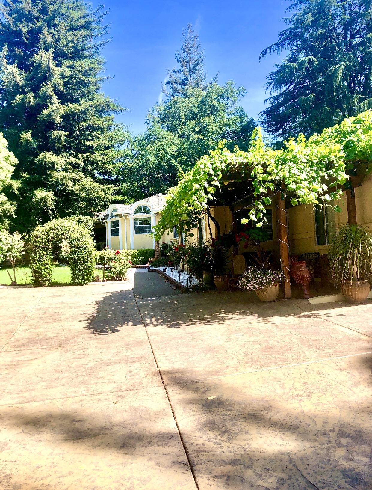 Driveway approaching the home, framed by a vine-covered arbor