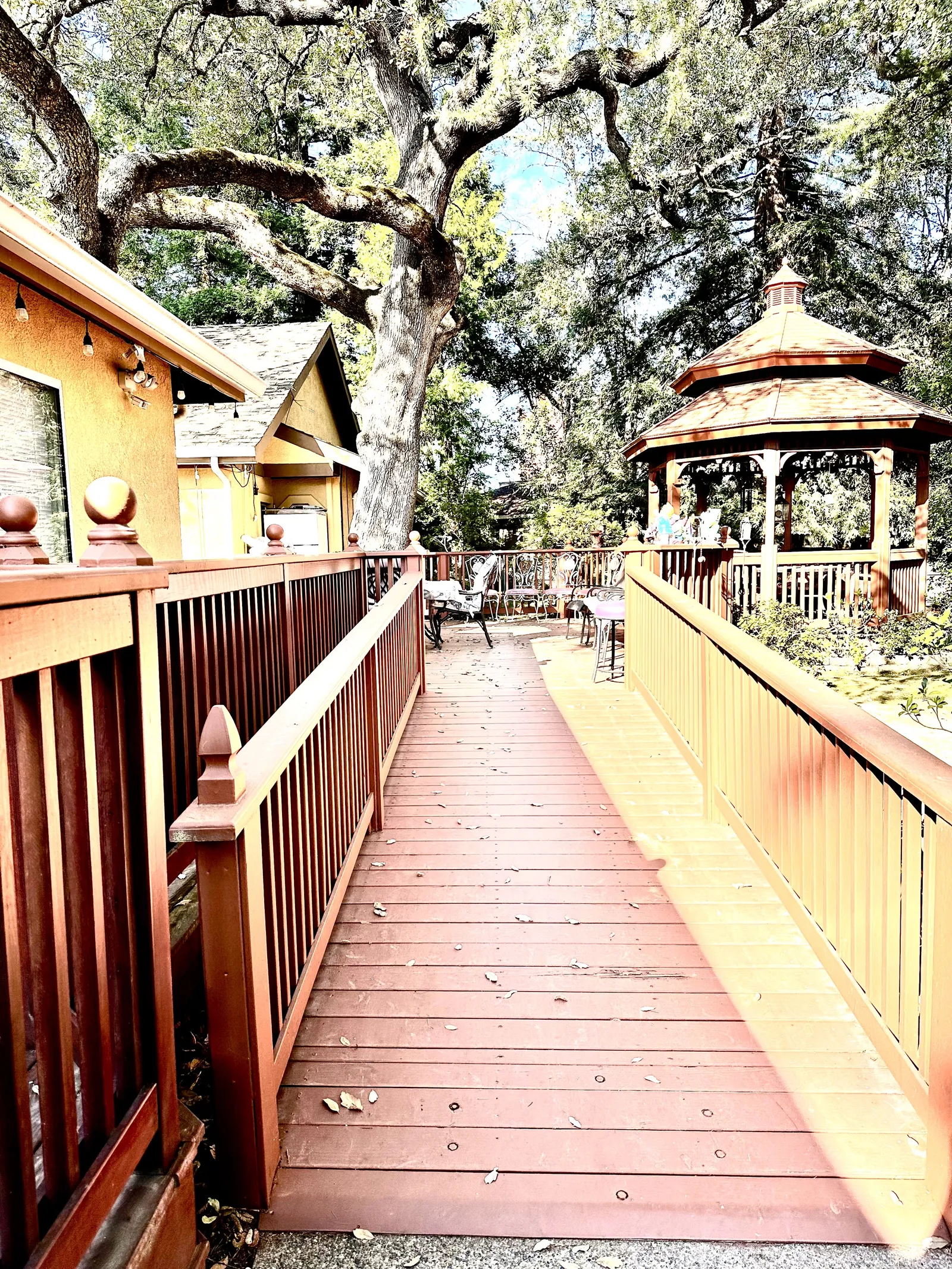 A wooden walkway winding through the garden