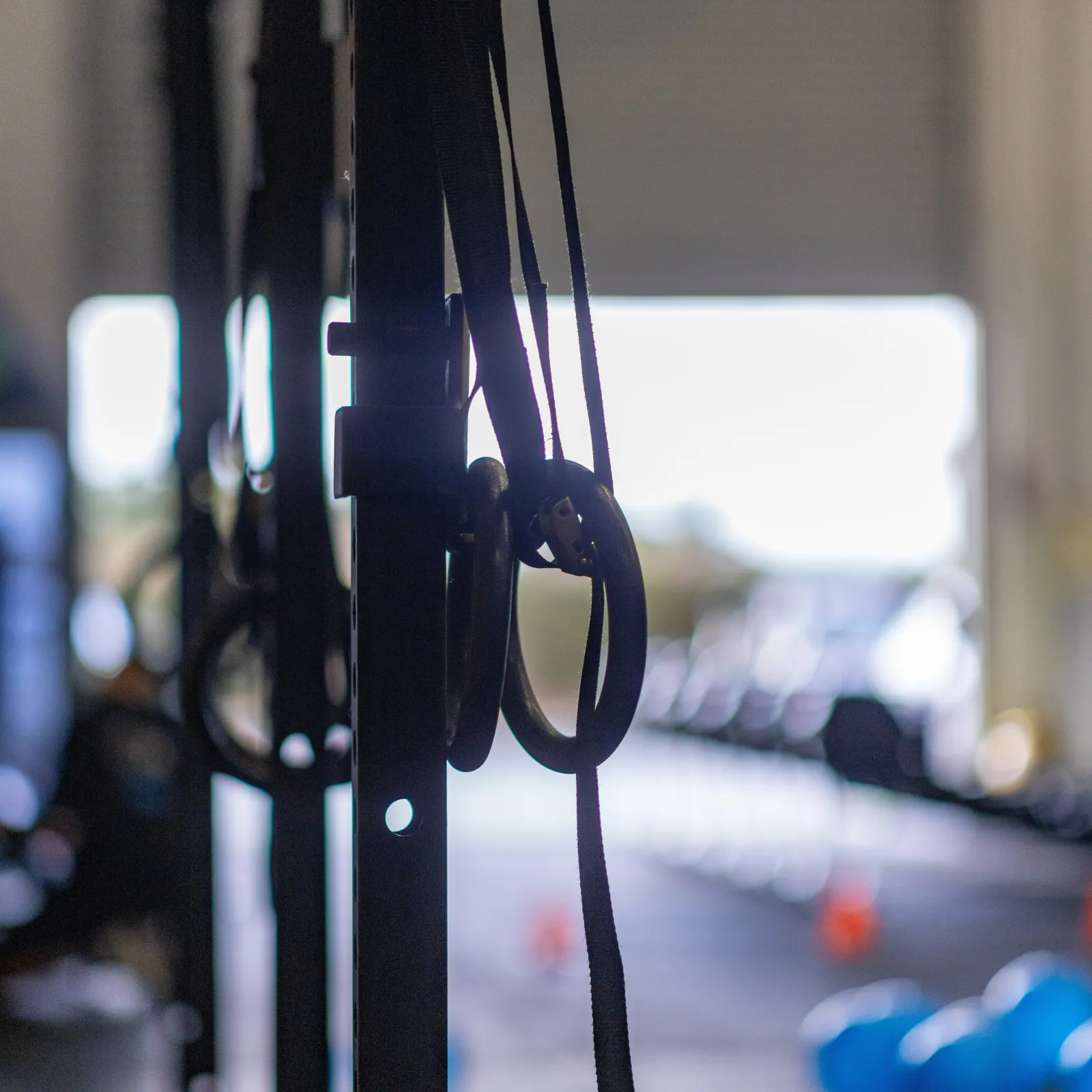 Gymnastics rings at Innerbloom