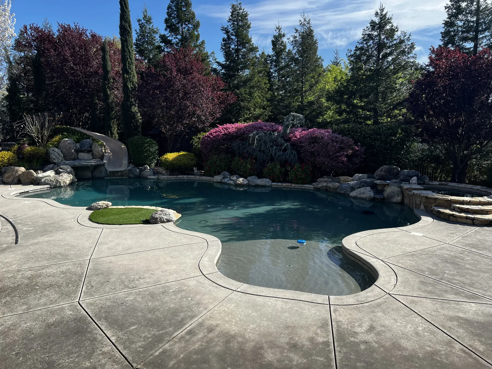 Backyard pool serviced by The Spa Guy in Roseville, CA