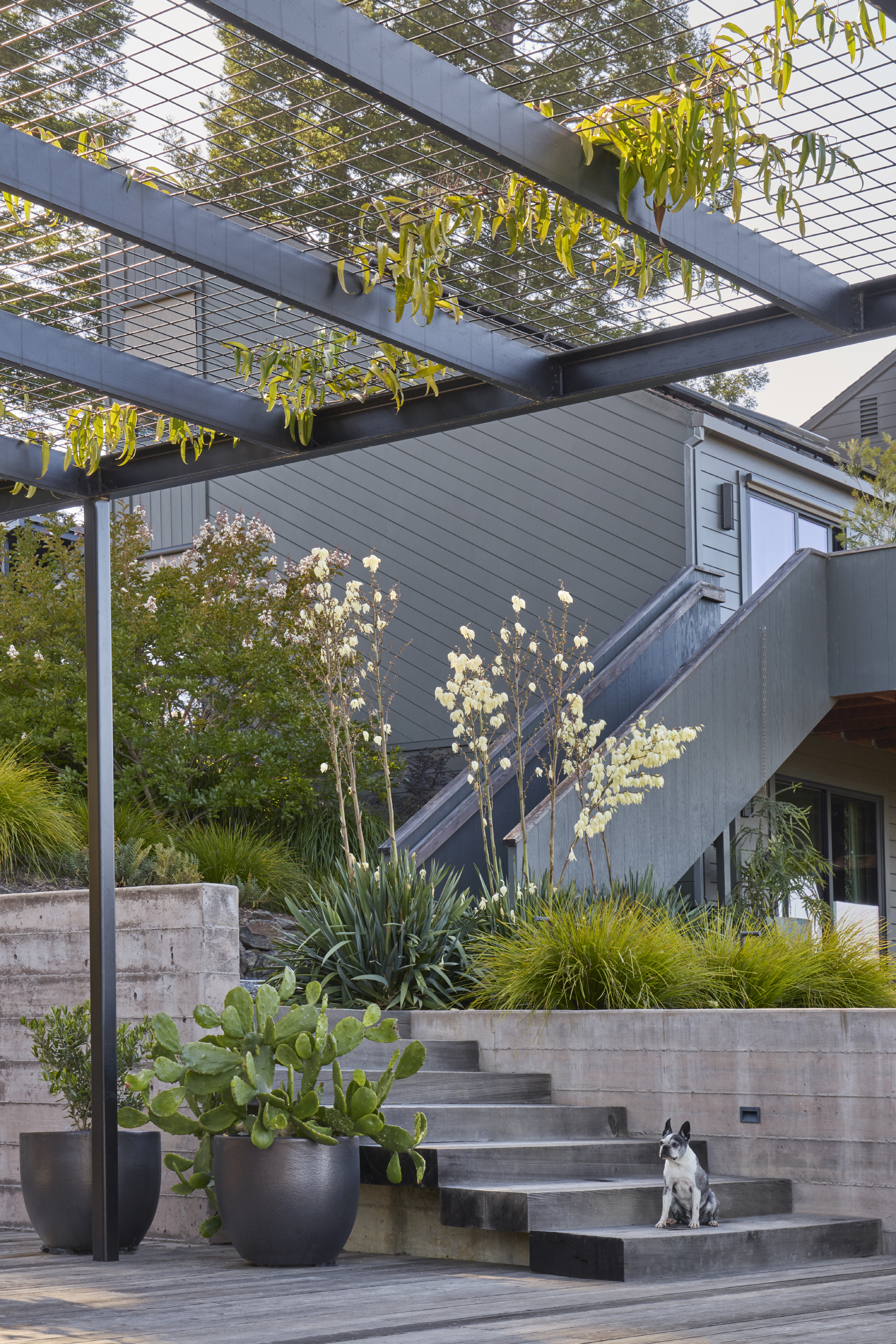 Concrete and timber steps connecting a wood deck to the upper terrace in Sonoma County