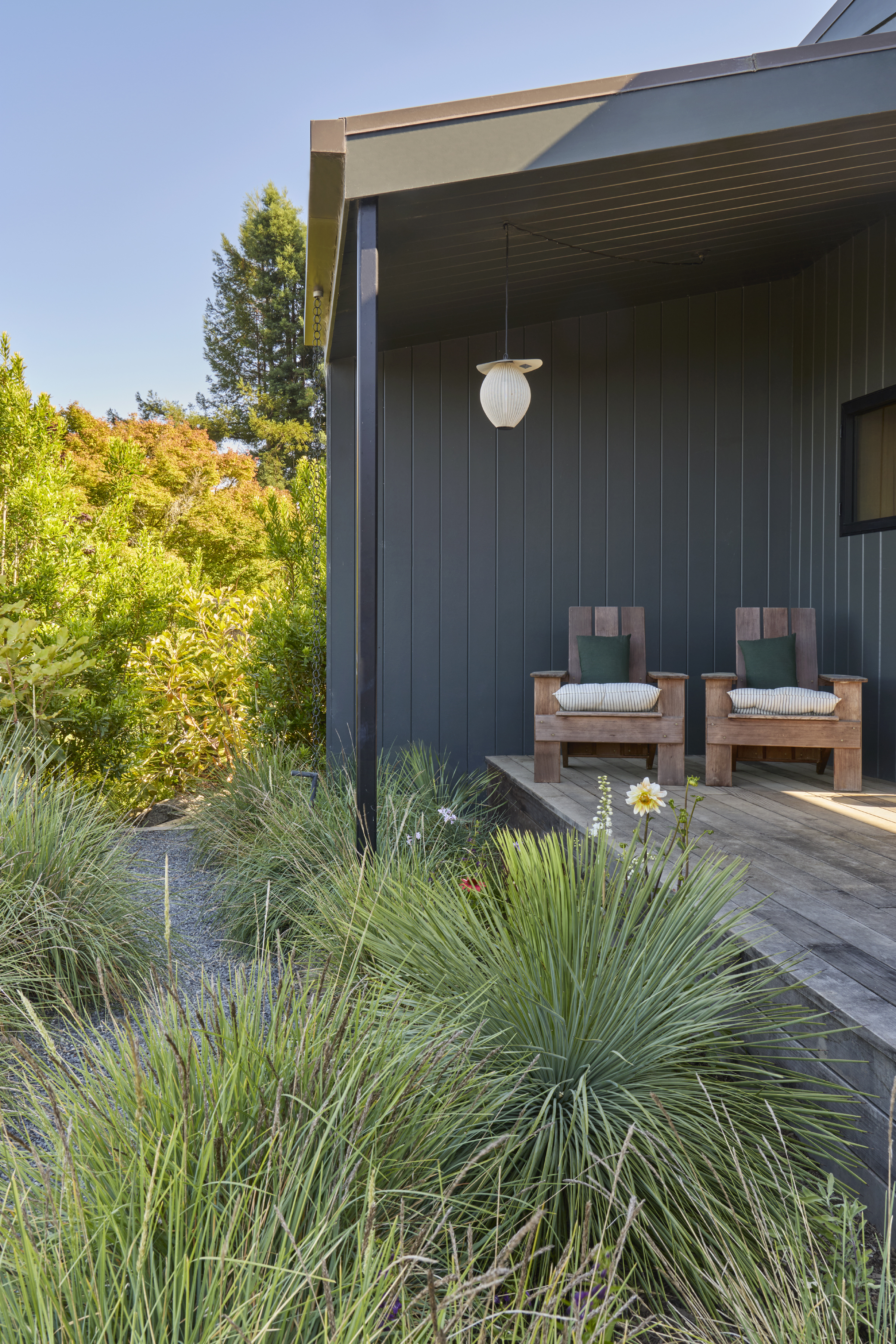 Native grasses and perennials planted to the deck edge at a Sebastopol CA home
