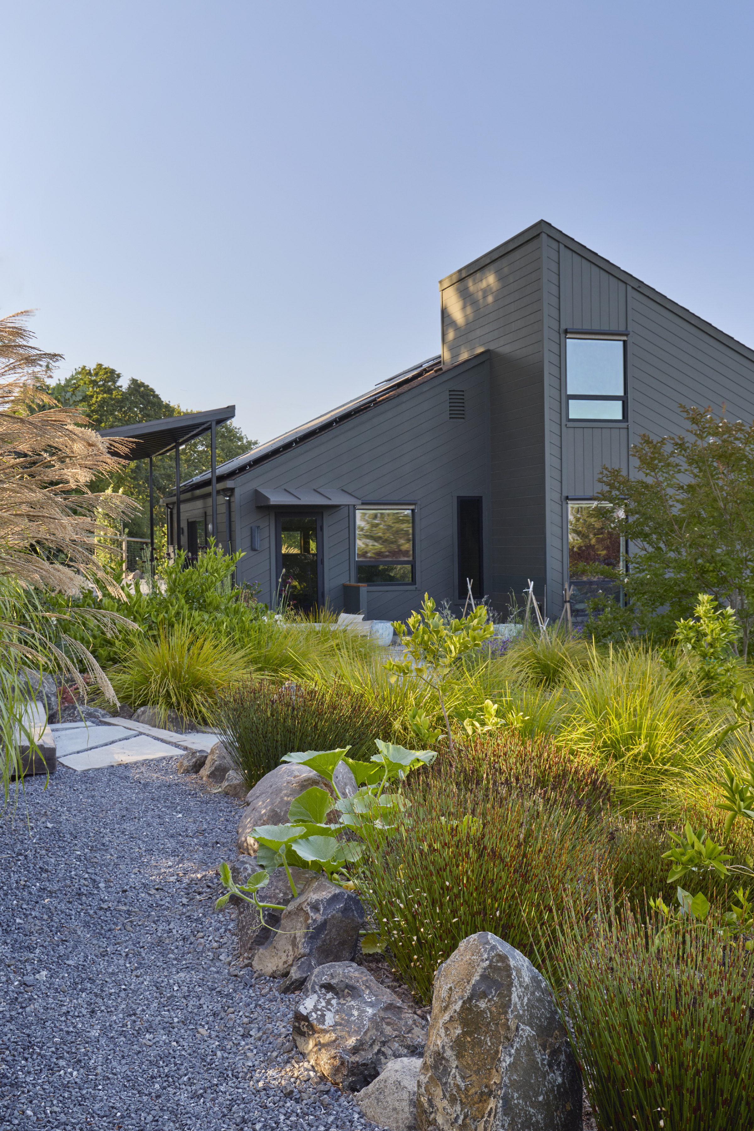 Flagstone stepping stone path set in gravel leading to a modern home in Sebastopol CA with grasses and boulders