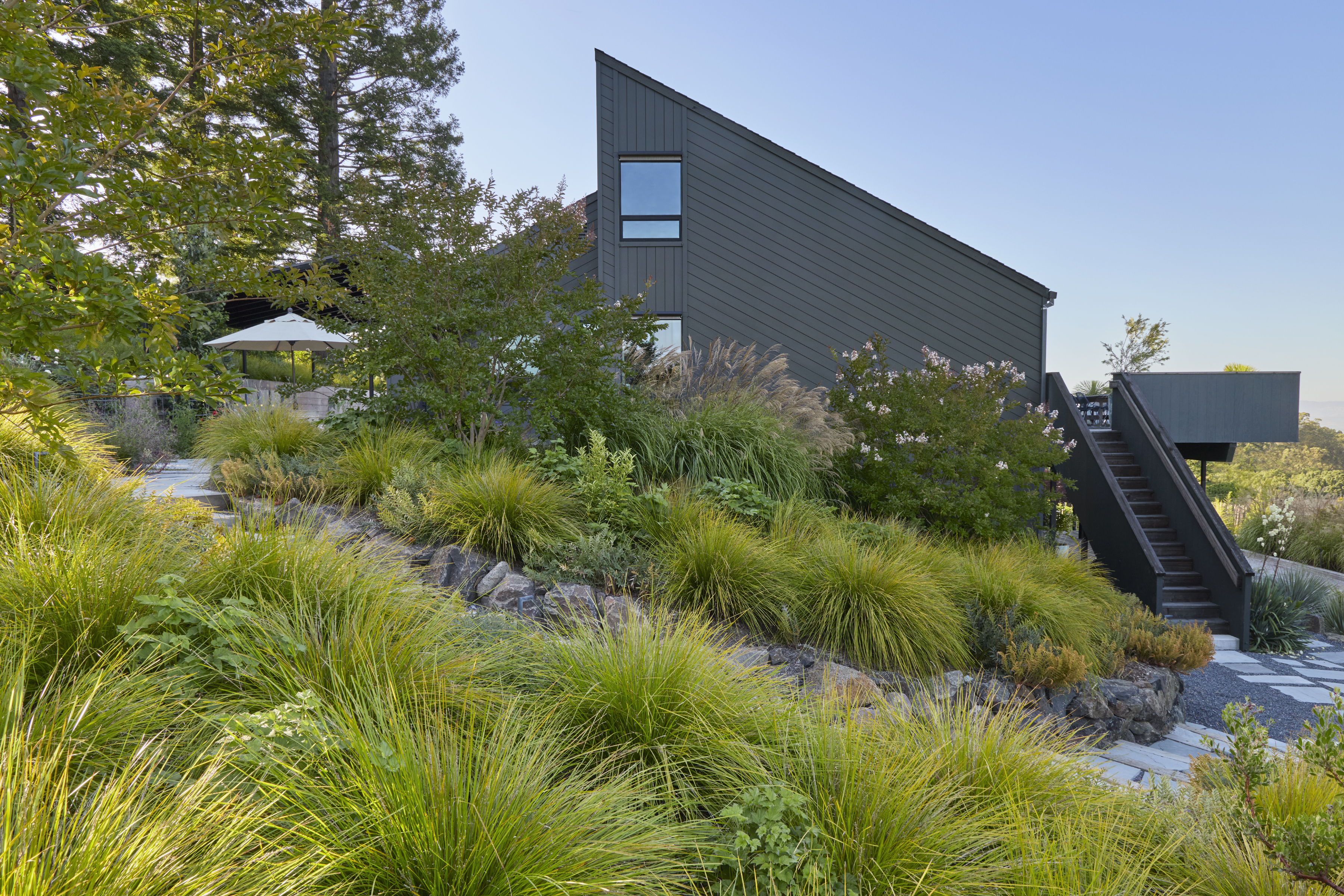 Flagstone walkway lined with ornamental grasses between planted terraces in Sebastopol CA