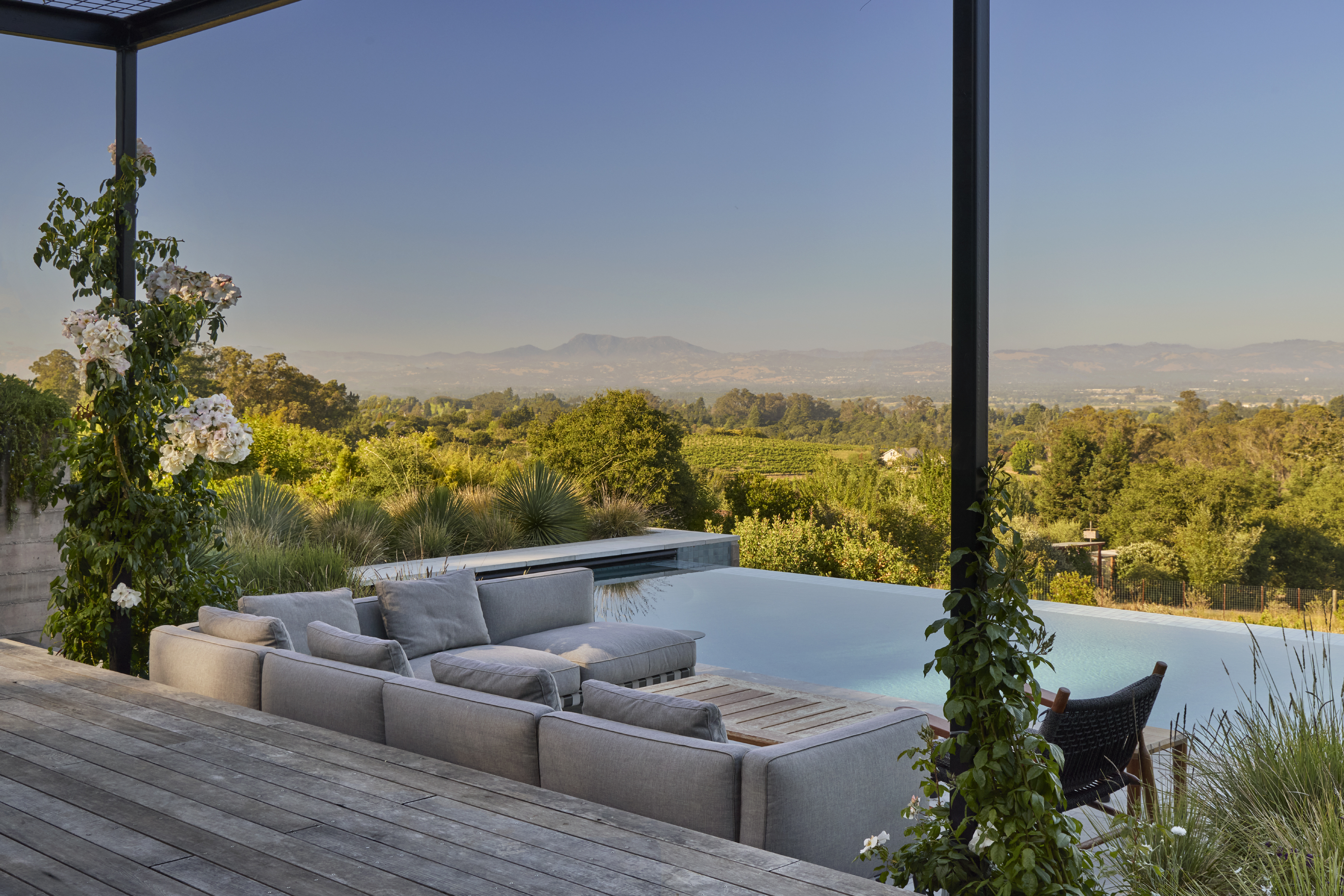 Pool terrace with low planting kept below the valley view line at a Sebastopol CA hillside property