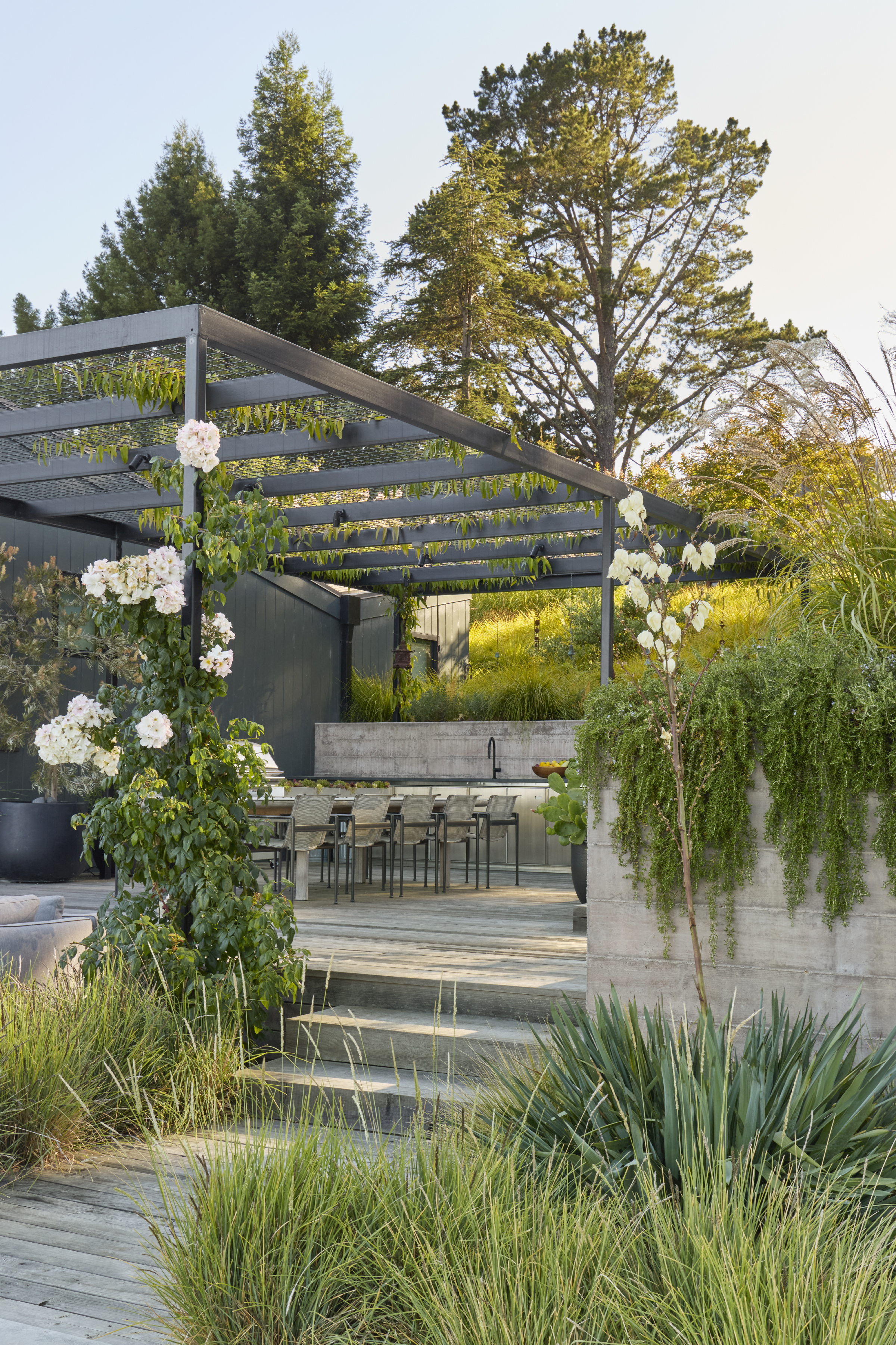 Outdoor dining terrace under a steel pergola with climbing roses in Sebastopol CA