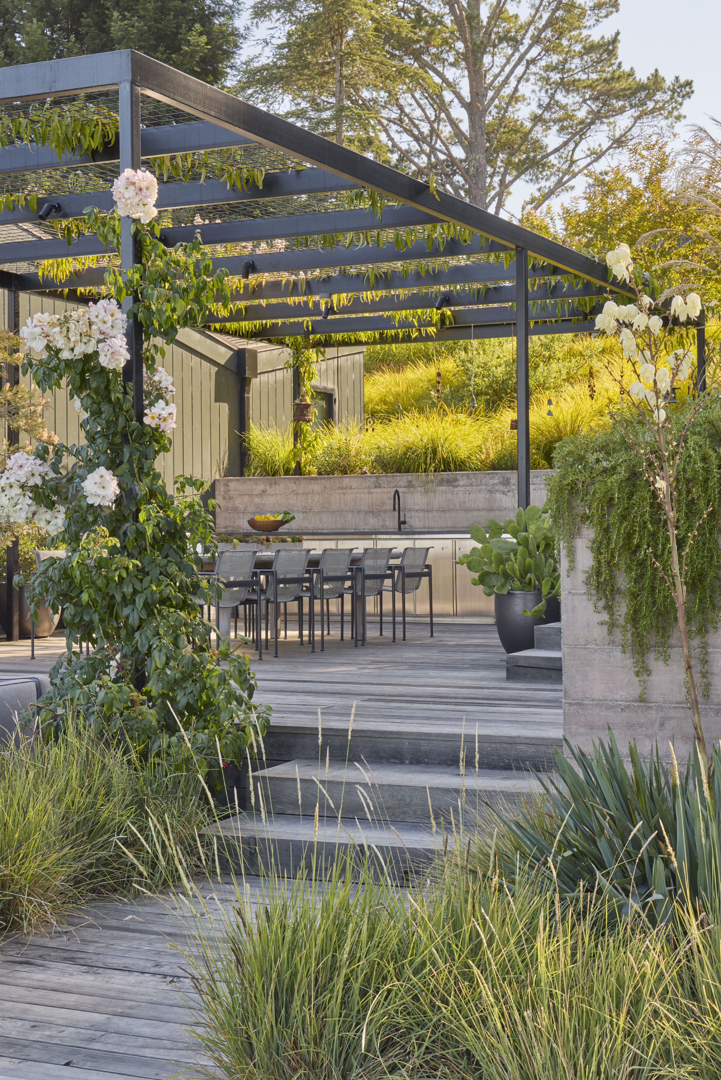 Pergola, outdoor kitchen and climbing roses at a Sebastopol CA hillside property built and landscaped by OCL Landscaping