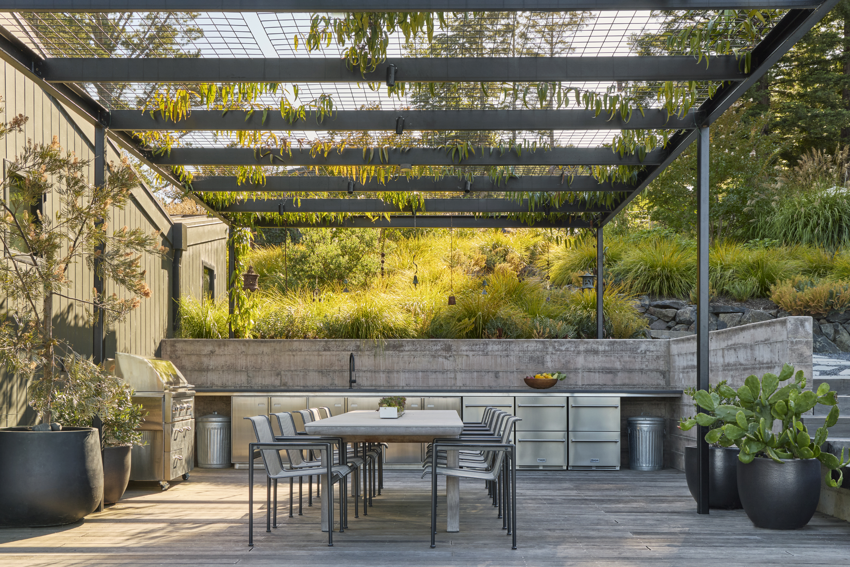 Outdoor kitchen with concrete counter wall and steel pergola framed by ornamental grasses in Sonoma County