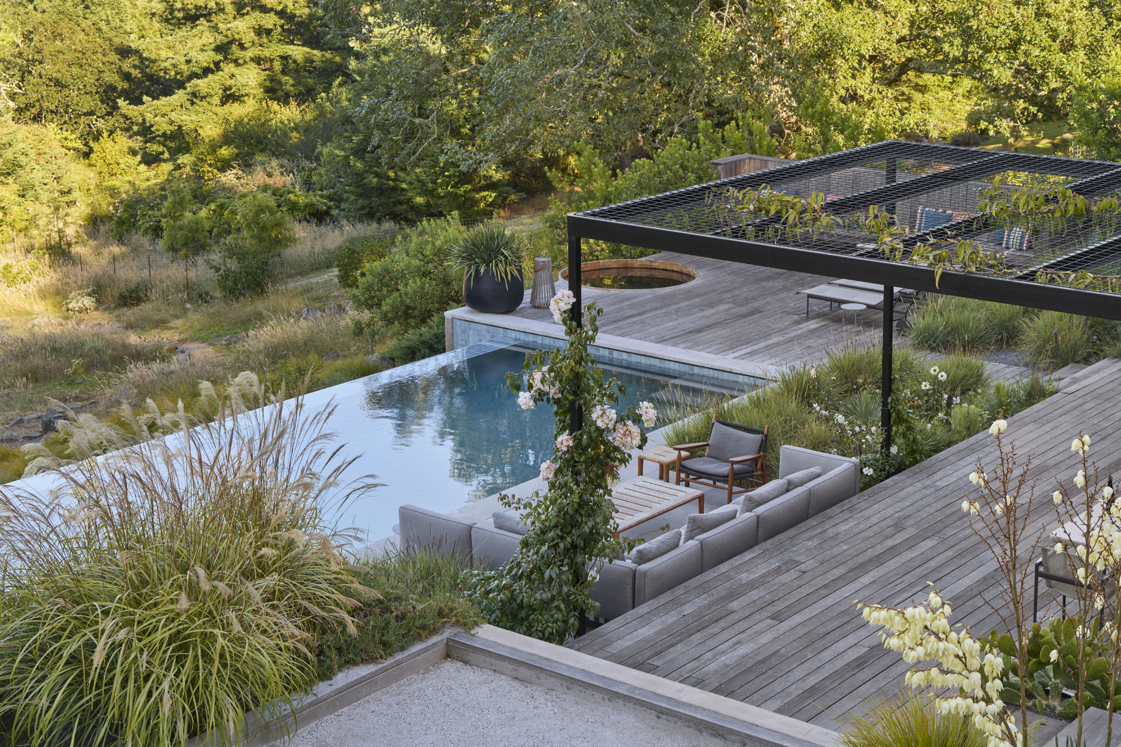 Pool and spa deck with ornamental grasses at a Sebastopol CA property landscaped by OCL Landscaping