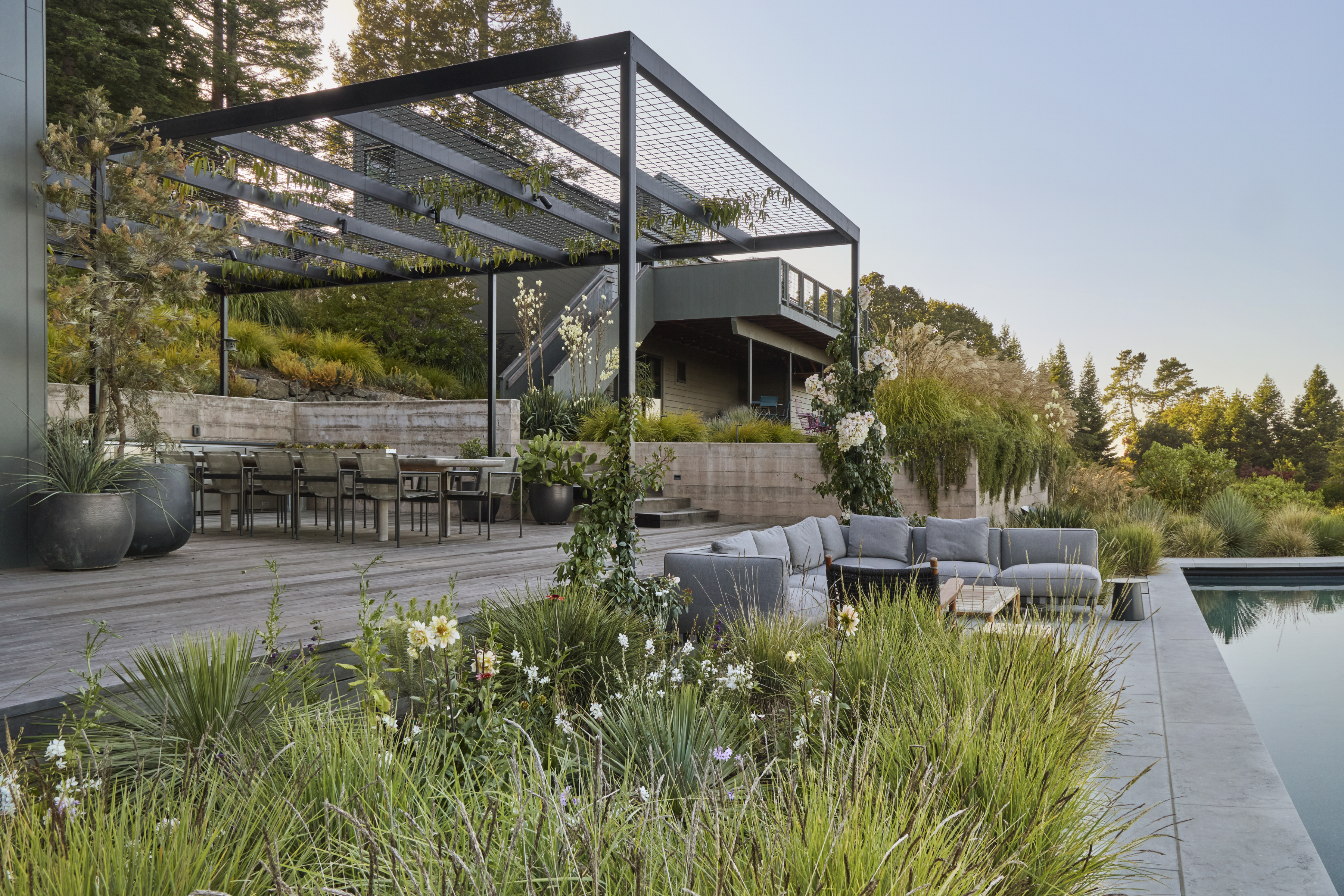 Pool deck and steel pergola with drought tolerant planting in Sebastopol CA