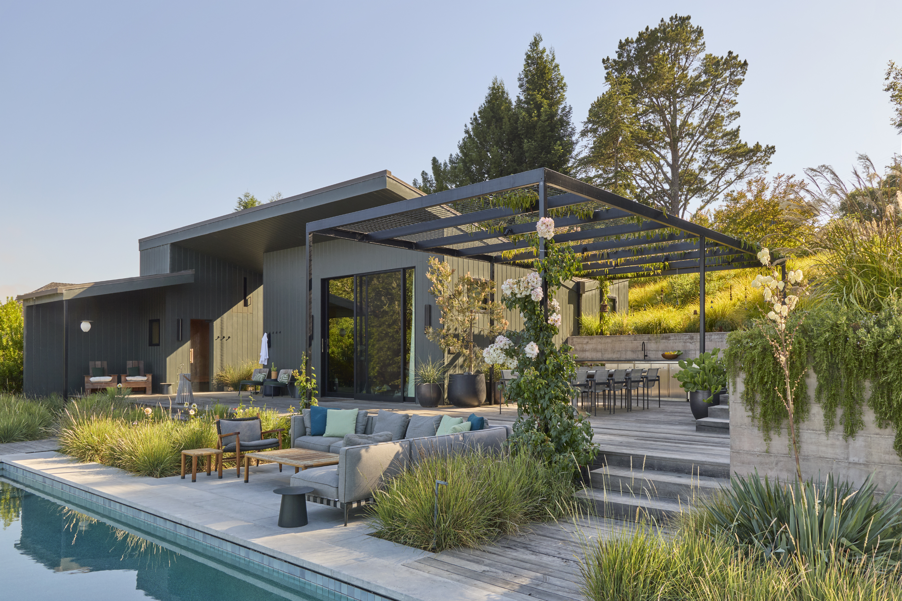 Landscape design and build project in Sebastopol, CA by OCL Landscaping with pool terrace, pergola and ornamental grasses