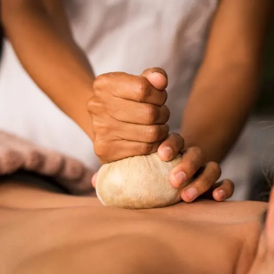 Wellness Solutions