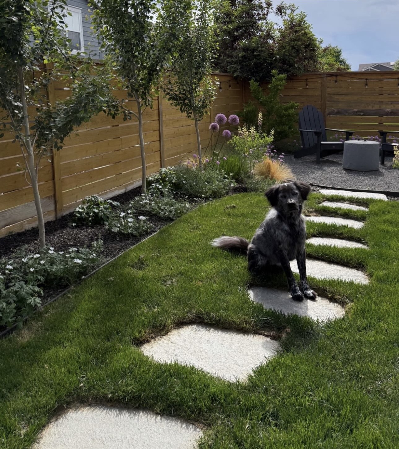 Stepping stones through a planted backyard