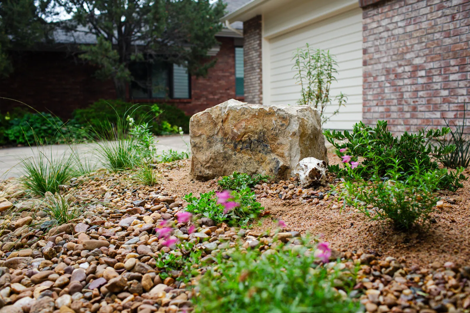A garden designed and installed by Mother Gardener