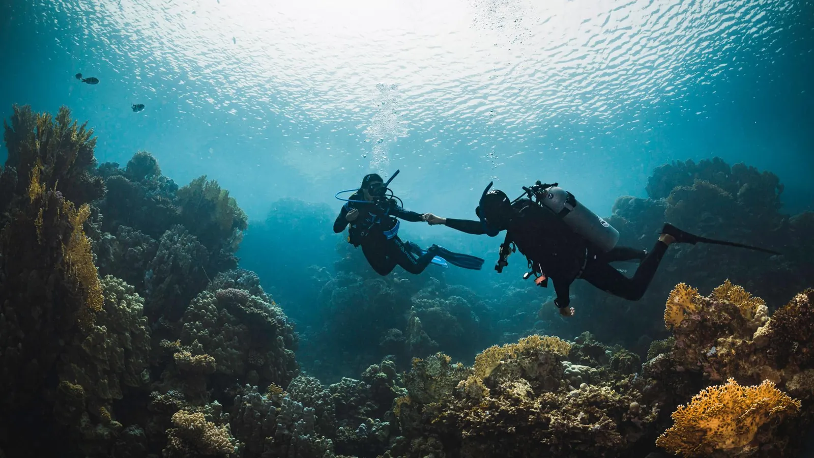 Instructor y buzo avanzando juntos sobre un arrecife de coral