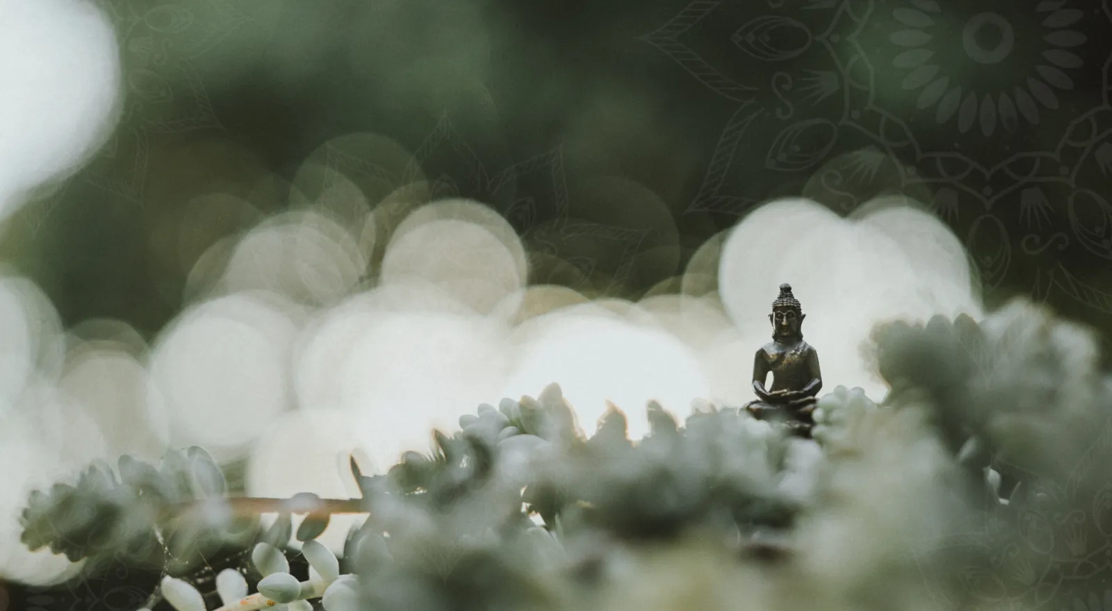 Mystical ethereal background symbolizing sitter psychology and deep spiritual connection