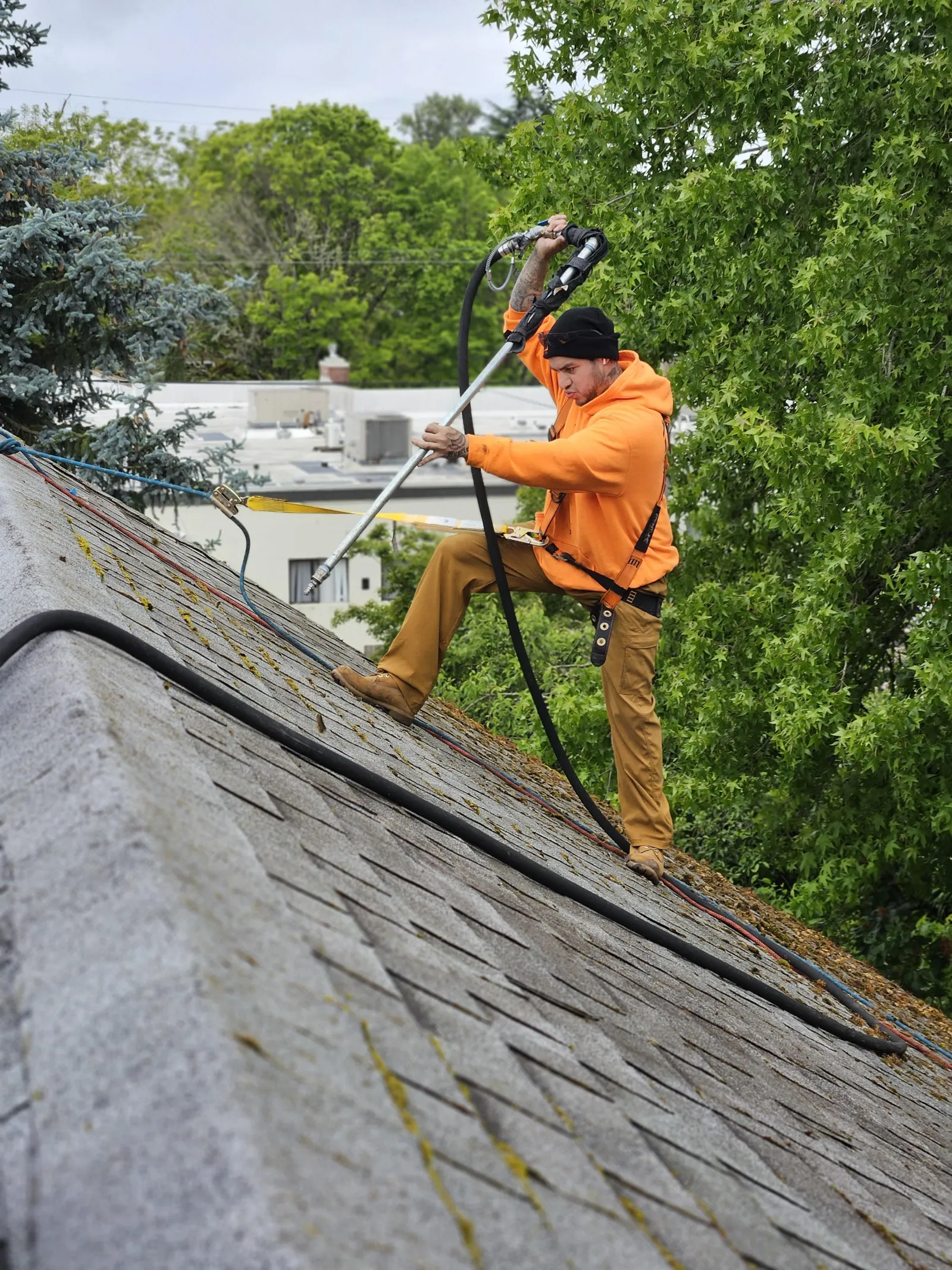 Roof Moss Removal in Hillsboro, Oregon