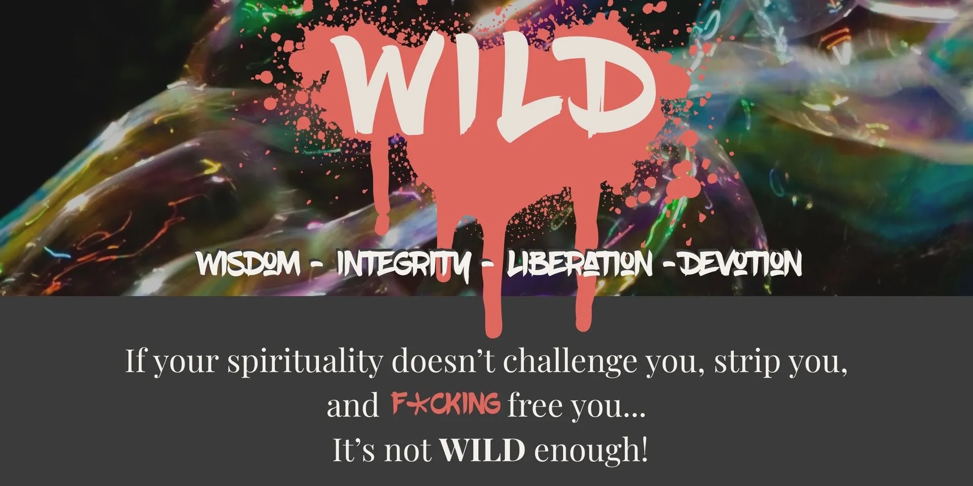 WILD Shamanic Mystery School
