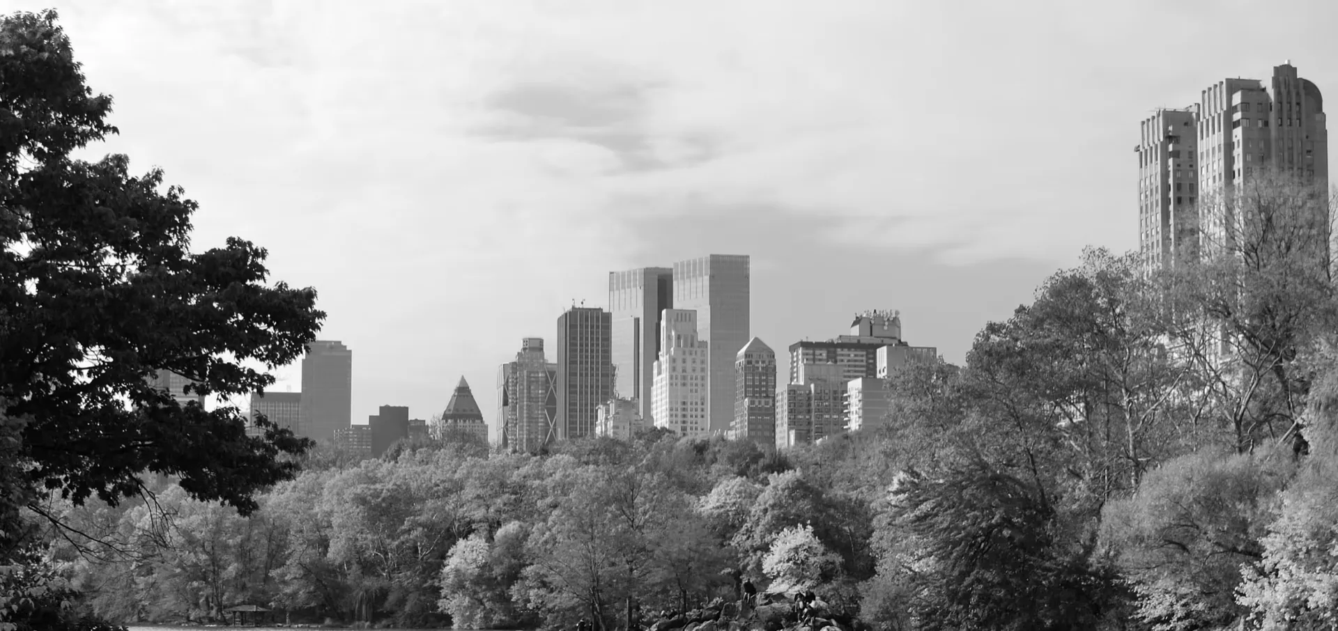 Skyline seen through trees