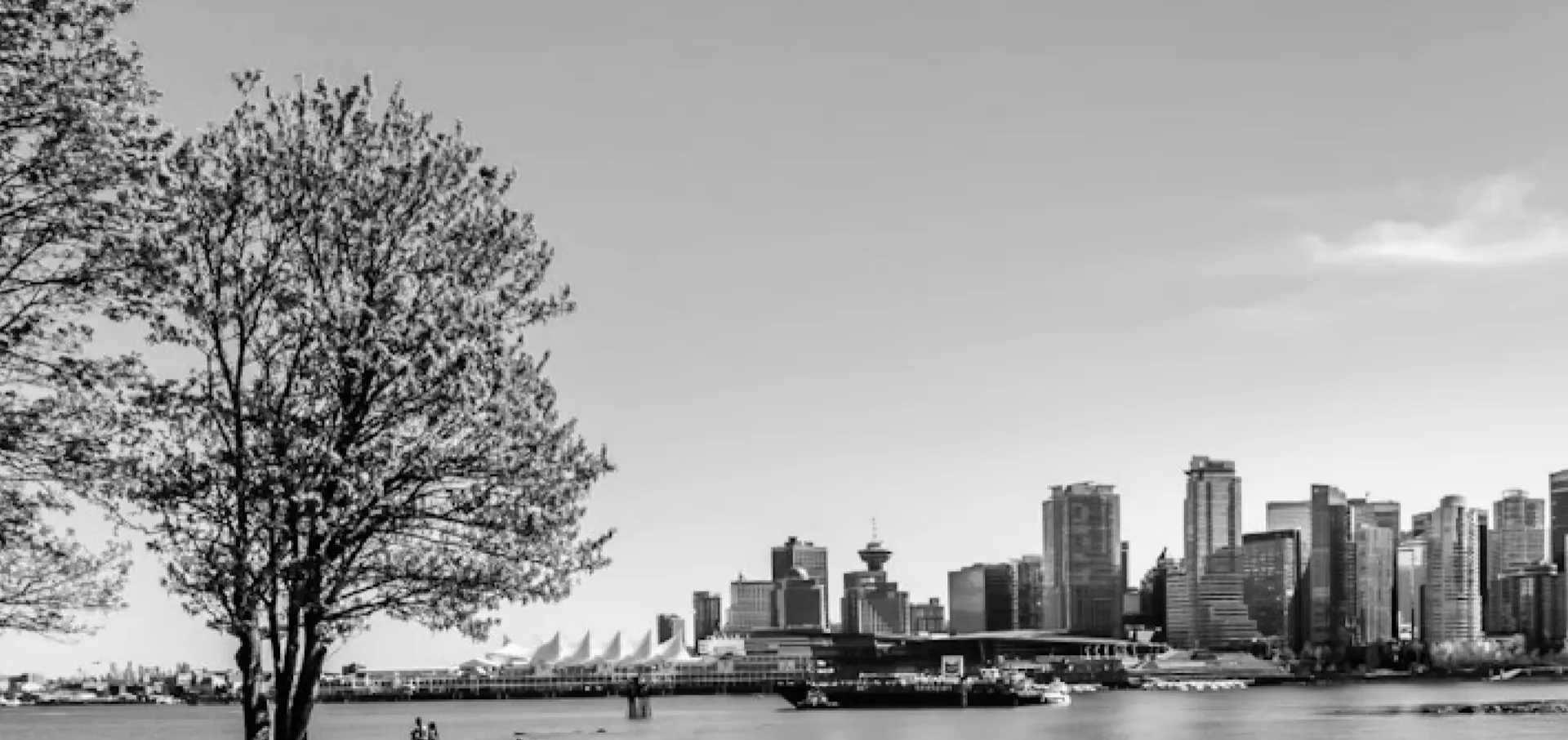 City skyline across a harbor