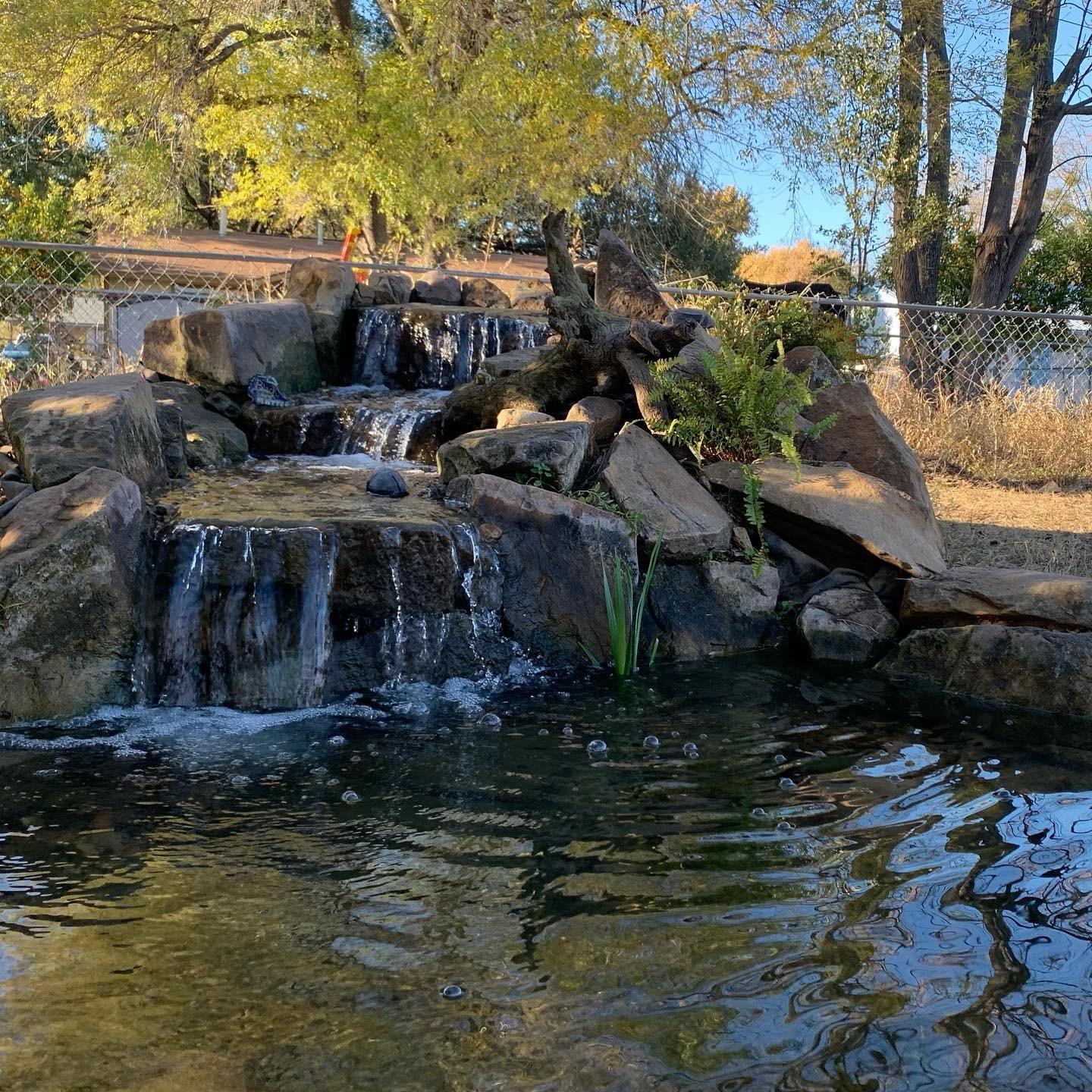 Backyard pond with waterfall and boulder edge