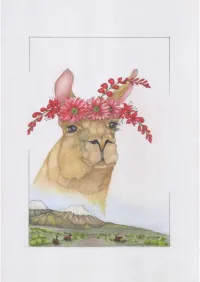 Lama  – Image 3